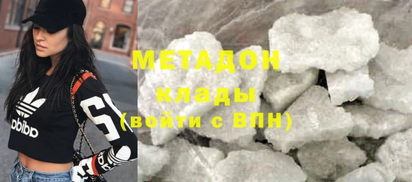 гашик Алексин