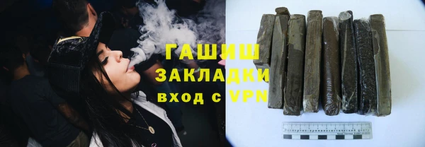 гашик Алексин