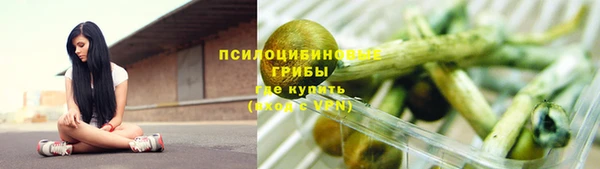 гидра Алзамай