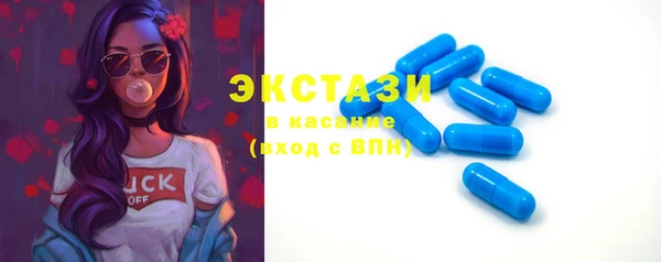 гашик Алексин