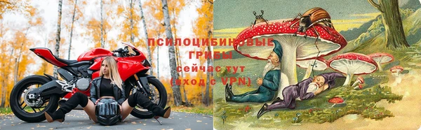гашик Алексин